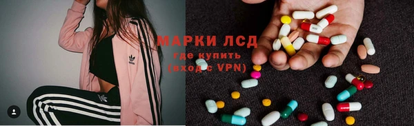 мдпв Дмитриев
