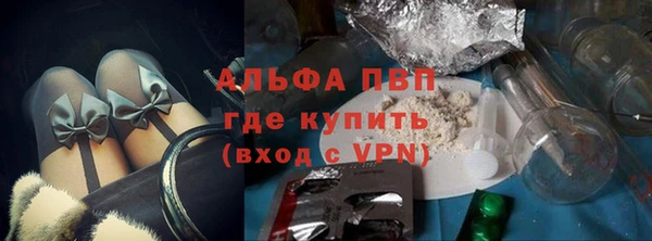 мдпв Дмитриев