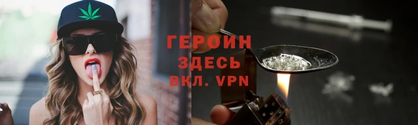 мдпв Дмитриев