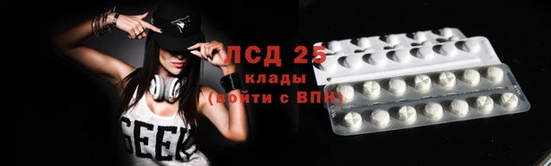 мдпв Дмитриев