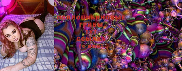 эйфоретик Дмитров