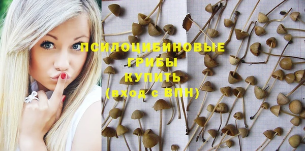 эйфоретик Дмитров