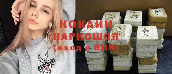 мдпв Дмитриев