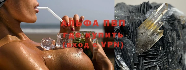 мдпв Дмитриев