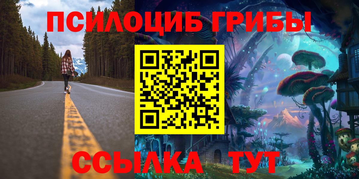 Псилоцибиновые грибы мухоморы Междуреченск