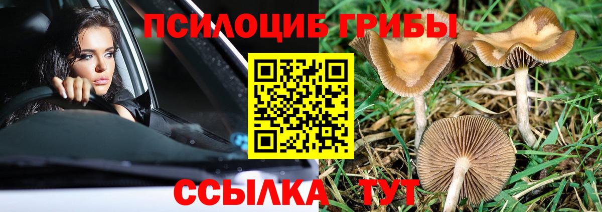 Псилоцибиновые грибы ЛСД Междуреченск